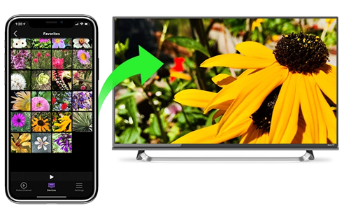 how to show pictures on roku tv