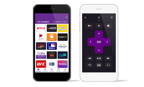 roku premium subscriptions