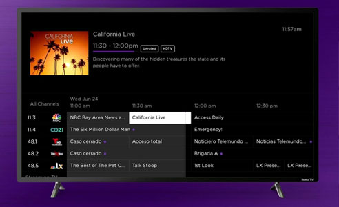 roku problems purple screen