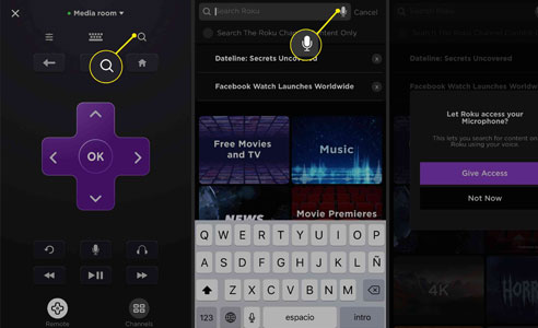 roku movie search