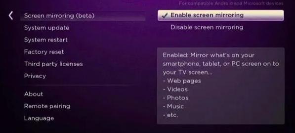dailymotion roku