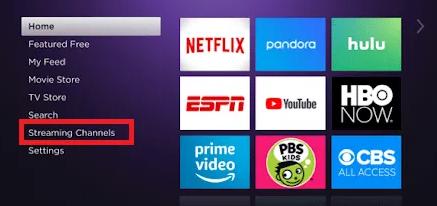 Install And Activate Bravo on Roku Device