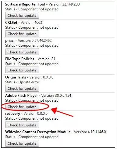 flash player not working