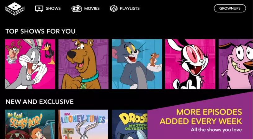 Install Boomerang on Roku Device