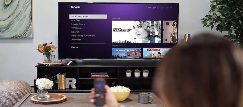 Watch Anime on Roku Streaming Device