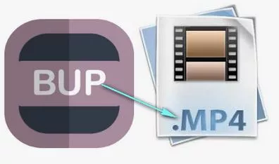 bup file player
