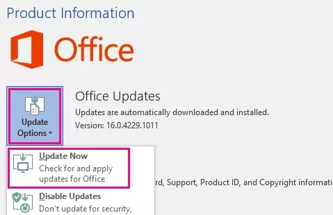 Outlook Search not Working