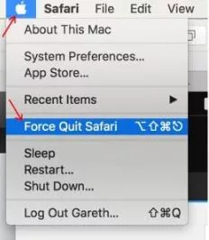 Force Quit Safari Browser on Mac Computer