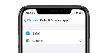 How to Auto-Translate a Web Page in Chrome iOS