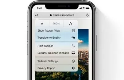 How to Auto-Translate a Web Page in Chrome iOS