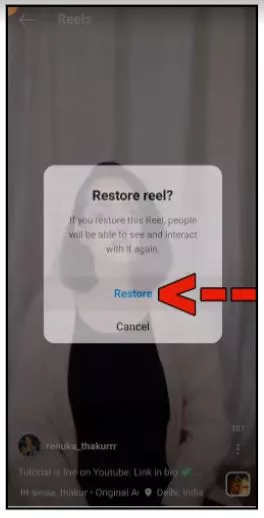 Get Back a Deleted Story on Instagram