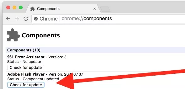 Update Adobe Flash Player in Google