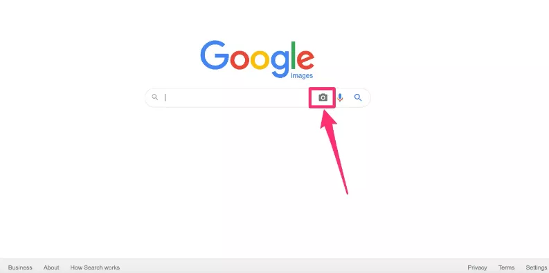 Reverse Image Search on Google to Find Information Related to a Specific Photo