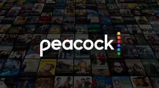 peacock login roku