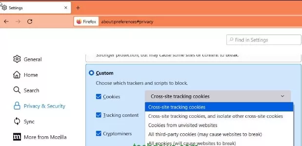 total cookie protection firefox enable