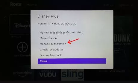 netflix not working on roku
