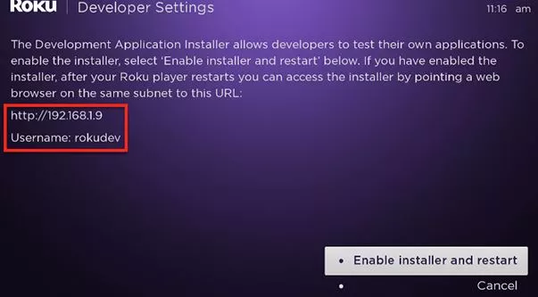 roku developer mode