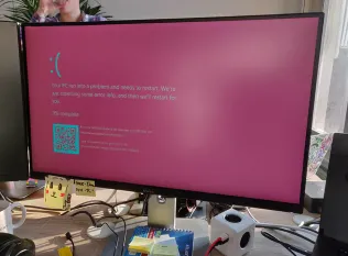 Pink Screen of Death Error on Windows 10/11
