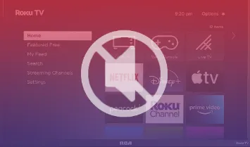 Roku TV Sound is not Working