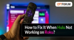How to Fix It When Hulu Not Working on Roku?