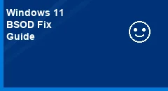 How to Fix Blue Screen of Death (BSOD) on Windows 11?