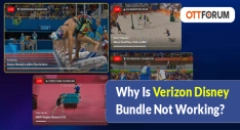 Why Is Verizon Disney Bundle Not Working?