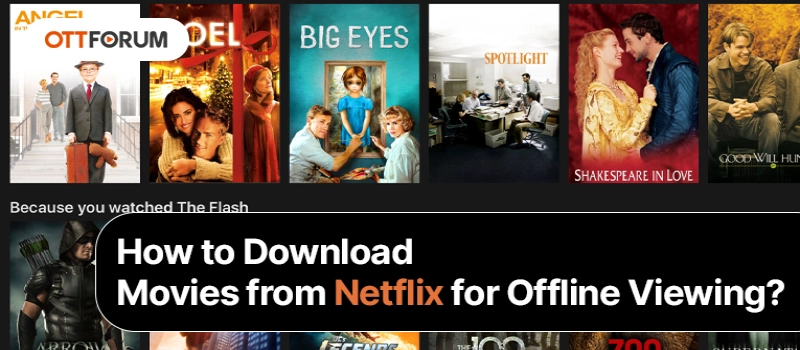 How to Download Movies from Netflix for Offline Viewing?