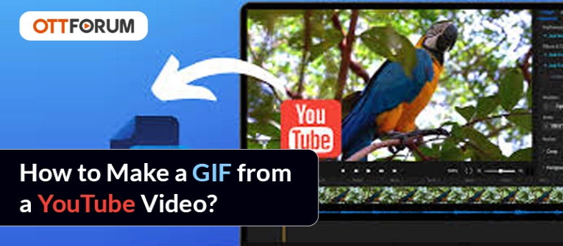 How to Make a GIF from a YouTube Video?