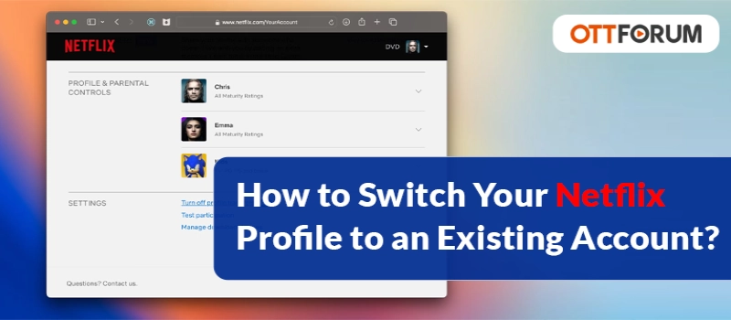 How to Switch Your Netflix Profile to an Existing Account?