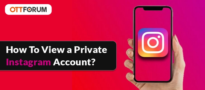 How To View a Private Instagram Account?