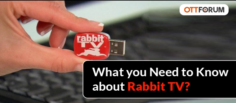 What you Need to Know about Rabbit TV?