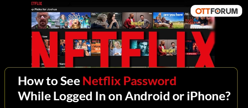 How to See Netflix Password While Logged In on Android or iPhone?